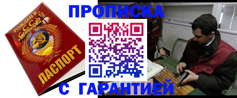 регистрация для школы в Курчалом